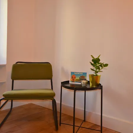 Centre Historique De - Grand T2 De 52 M - 4 Personnes Apartment Nantes
